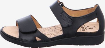 Ganter Sandals in Black
