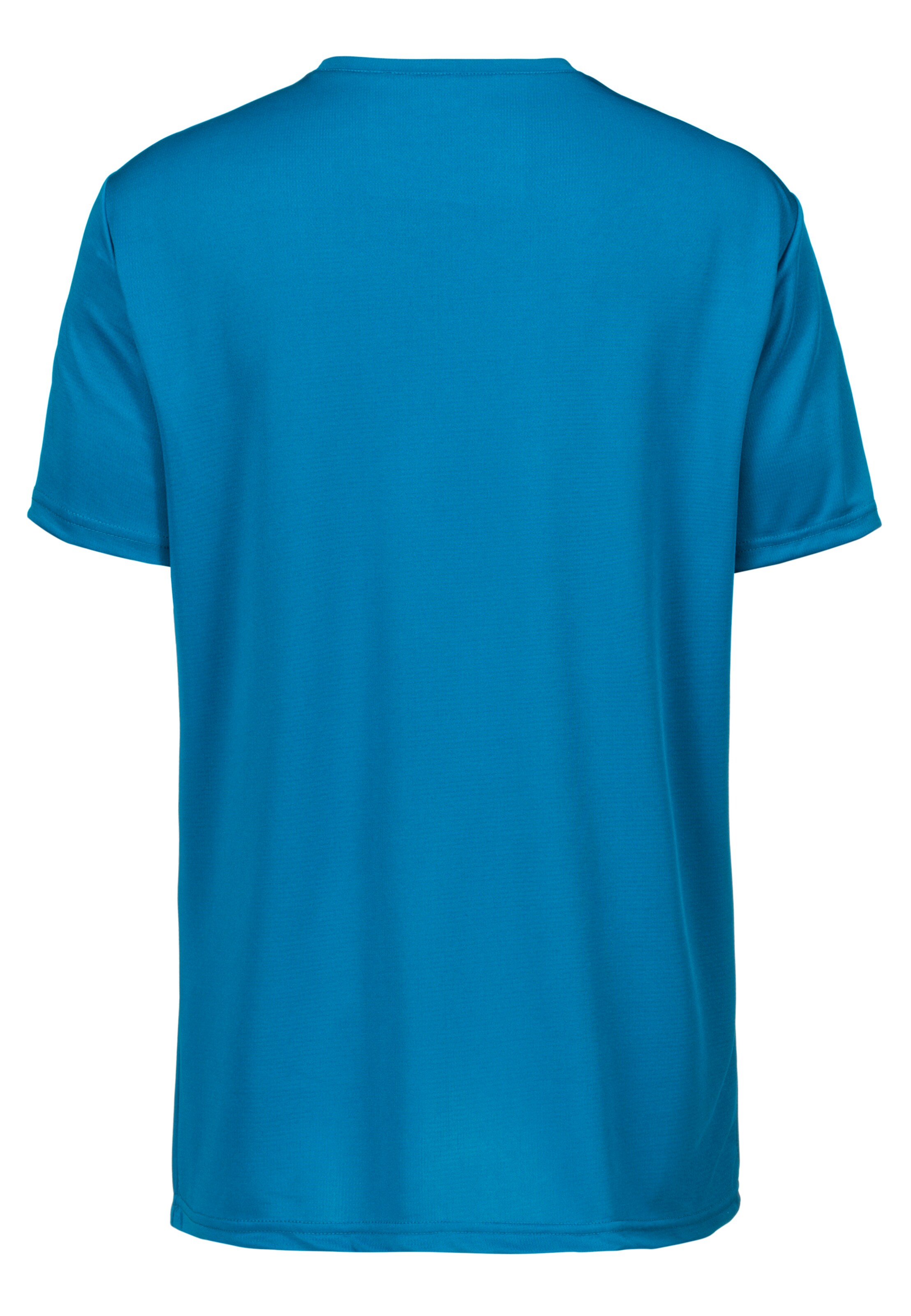Männer Sportarten ENDURANCE Funktionsshirt Vernon mit reflektierendem Print in Blau - BL38123