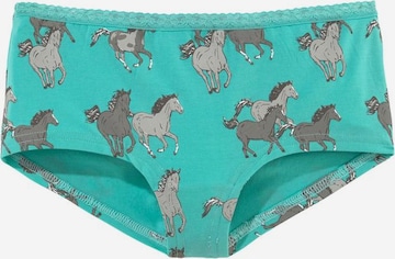 Petite Fleur Kids Panty in Mischfarben