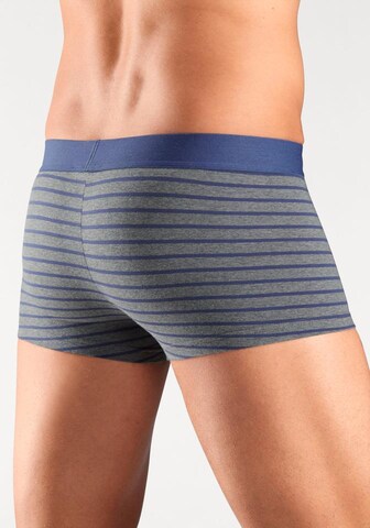 s.Oliver Boxer shorts in Grey