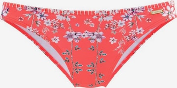 Pantaloncini per bikini 'Ditsy' di SUNSEEKER in rosso: frontale