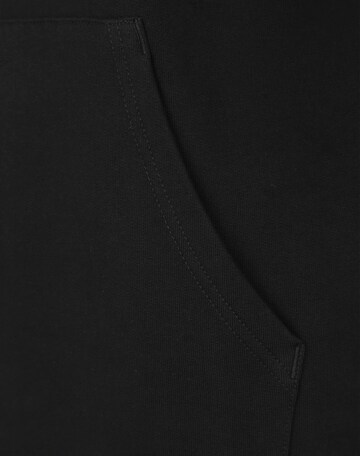 THE NORTH FACE Regular Fit Sweatshirt 'Drew Peak' in Schwarz