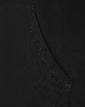 Coupe regular Sweat-shirt 'Drew Peak' THE NORTH FACE en noir