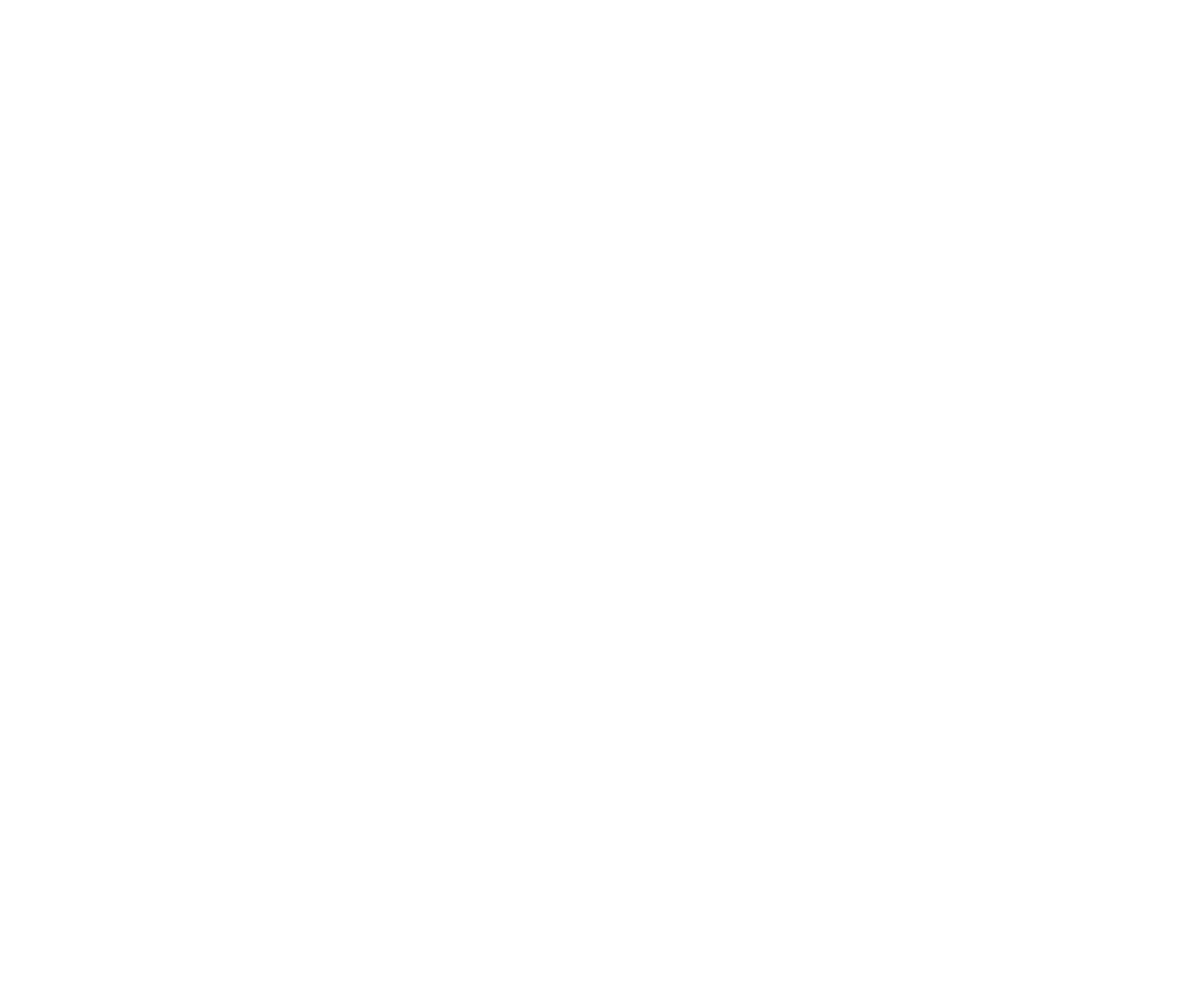 LICO Logo