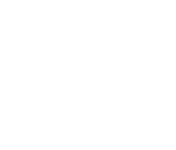 LICO Logo