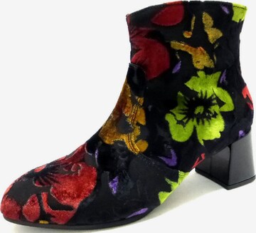 GABOR Ankle Boots in Mixed colors: front