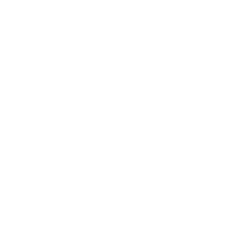 The Original Playboy Logo