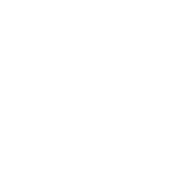 Flamingos' Life Logo