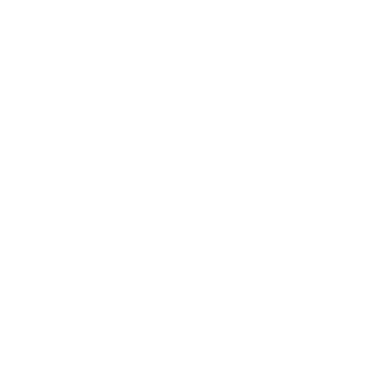 Adolfo Dominguez Logo