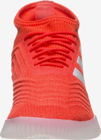 ADIDAS SPORTSWEAR Sneakers laag 'Predator 19.1 Trainers Street' in Rood