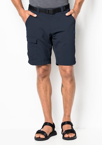JACK WOLFSKIN Regular Outdoor trousers 'Hoggar' in Blue: front