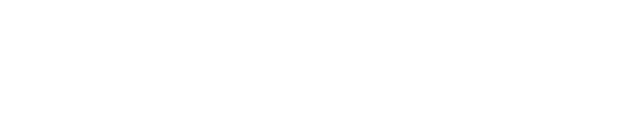 LEONHARD HEYDEN Logo