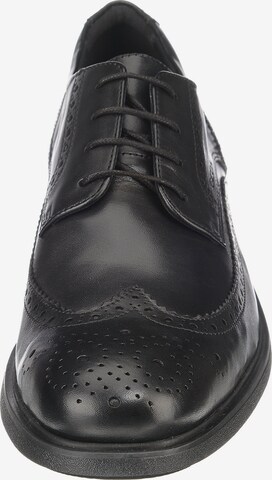 GEOX Обувь на шнуровке 'Dublin' в Черный