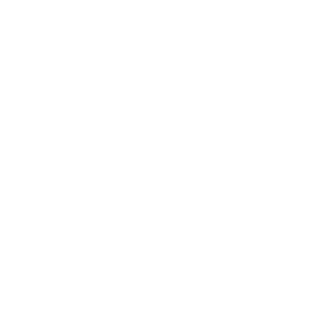 Staud Logo