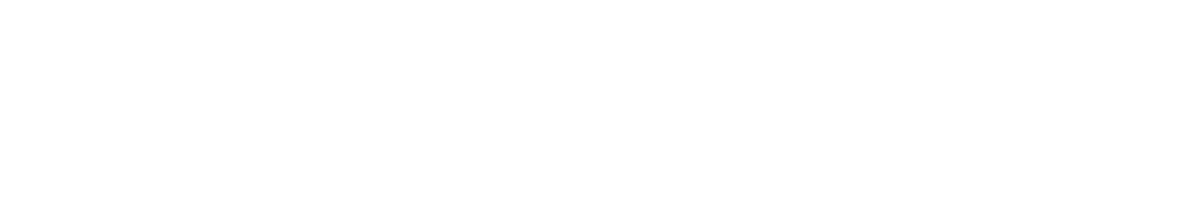 Rip Curl Logo
