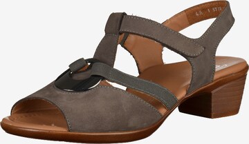 ARA Strap Sandals in Grey: front