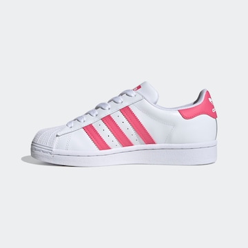 Baskets 'Superstar' ADIDAS ORIGINALS en blanc