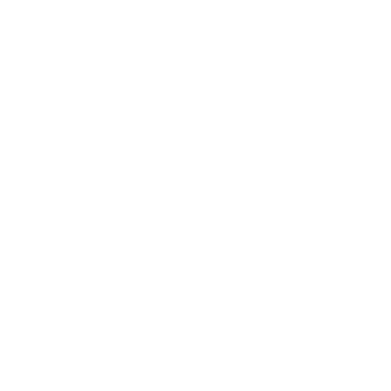 Rieker Sport Logo