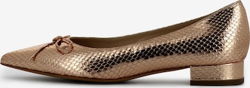 EVITA Ballet Flats in Bronze