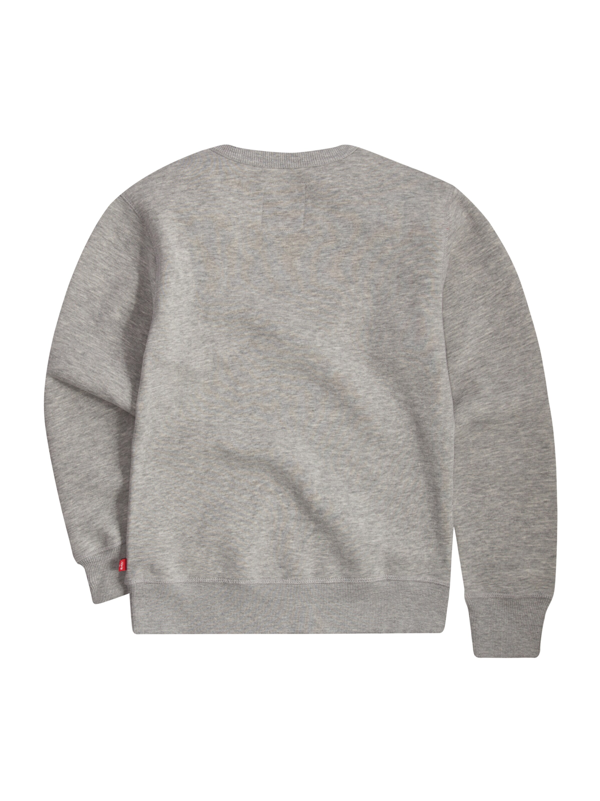 Regular fit Felpa di Levi's Kids in grigio: dietro