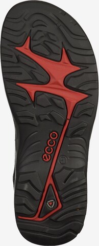 ECCO Hiking Sandals in Black