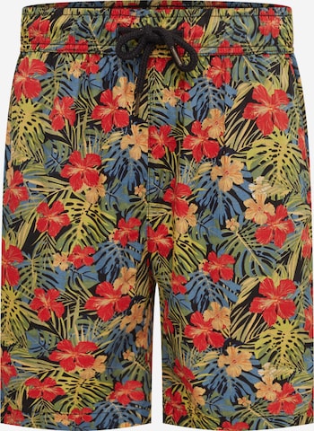 Urban Classics Regular Pants in Mixed colors: front