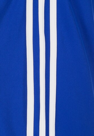 ADIDAS PERFORMANCE Shorts 'Squadra 17' in Blau