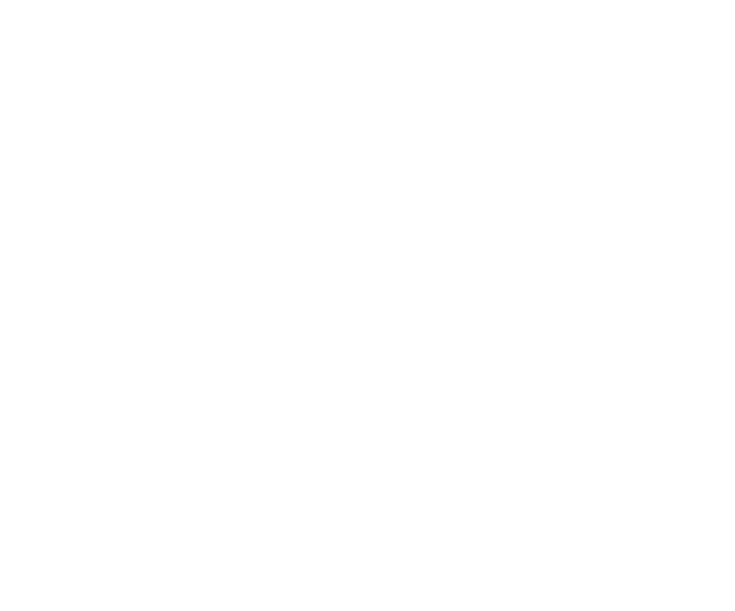 ELLI PREMIUM Logo