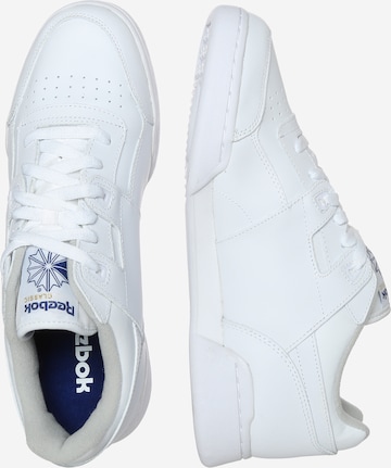 Baskets basses 'Workout Plus' Reebok en blanc : sur le côté