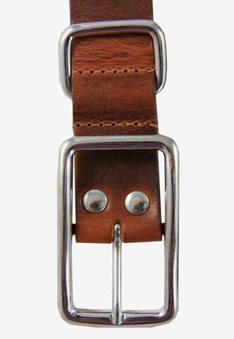 Petrol Industries Belt in Brown