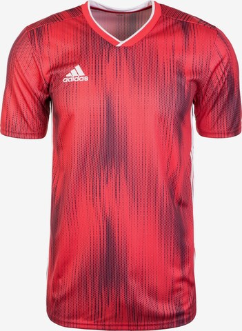 T-Shirt fonctionnel 'Tiro 19' ADIDAS SPORTSWEAR en rouge : devant