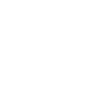 RIP CURL Logo