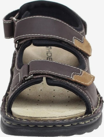 ROHDE Sandals in Brown