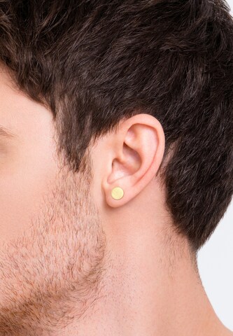 Boucles d'oreilles PAULO FANELLO en or