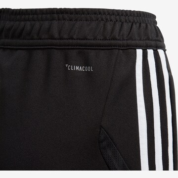 ADIDAS PERFORMANCE Regular Workout Pants 'Tiro 19' in Black