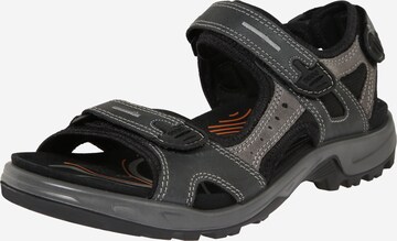 ECCO Hiking Sandals 'Offroad' in Grey: front