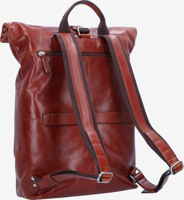 Picard Backpack in Brown