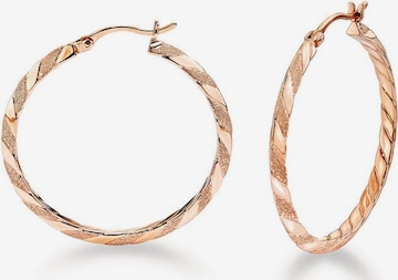 AMOR Earrings in Gold: front