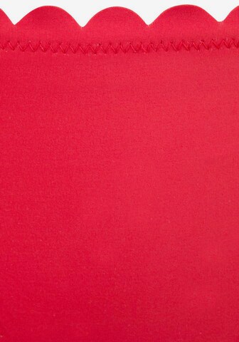 Slip costum de baie 'Scallop' de la LASCANA pe roșu