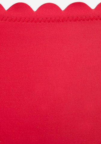 LASCANA Bikiinipüksid 'Scallop', värv punane