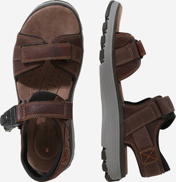 CLARKS Hiking Sandals in Brown: side