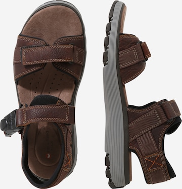 Sandales de randonnée CLARKS en marron : sur le côté