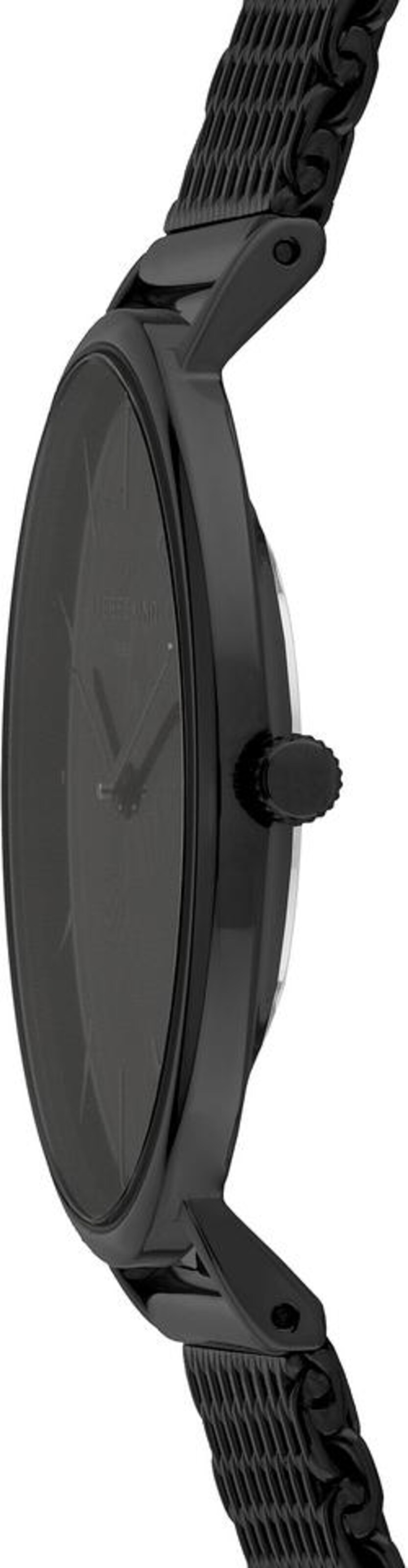 Liebeskind Berlin Analog watch in Black
