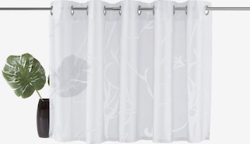 MY HOME Curtains & Drapes in White: front