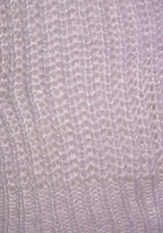 LASCANA Pulover | vijolična barva