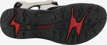 ECCO Hiking Sandals 'Offroad' in White