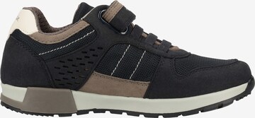 GEOX Sneakers in Blauw