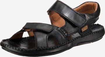 PIKOLINOS Sandals 'Tarifa' in Black: front