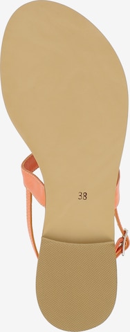 EVITA T-Bar Sandals 'OLIMPIA' in Orange