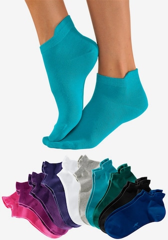KangaROOS Ankle Socks in Mixed colors